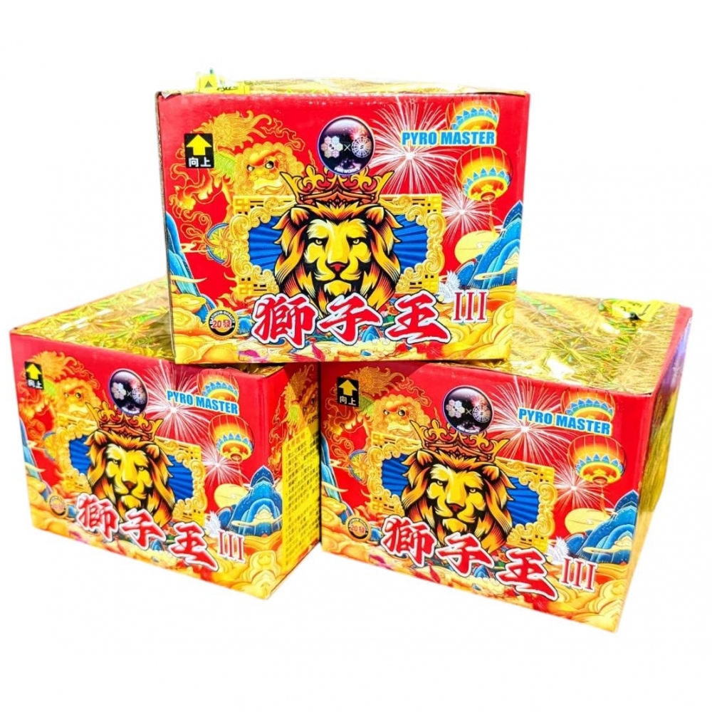 20發獅子王